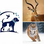 Animals  Information icon