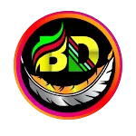 BD NET VPN icon