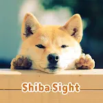 Shiba Sight Theme icon