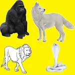 CollectiveNamesOfAnimals icon