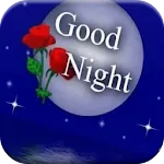 Good Night GIF Collection icon