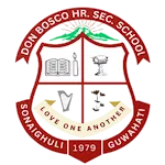 Don Bosco School Sonaighuli icon