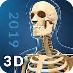 My Skeleton Anatomy icon