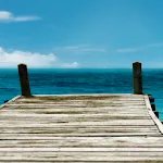 Tropical Paradise Wallpaper icon