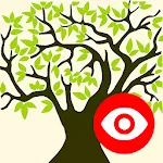 Family Tree Explorer Viewer icon