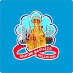 Shrine Basilica Vailankanni Do