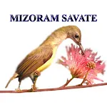 Mizoram Savate icon