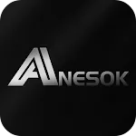 ANESOK icon