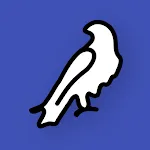 Flang icon