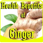 Health Benefits of Ginger icon