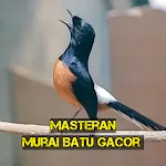 Masteran Murai Batu Gacor icon