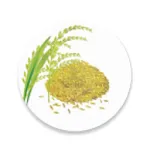 ePACS Bihar Grains icon