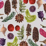 Dried Botanicals Key icon