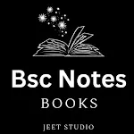 Bsc Notes icon