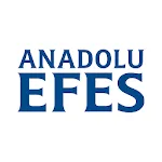 Efes Ethics Code icon