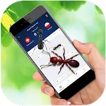Ant Run on Screen Prank icon
