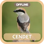 Masteran Cendet Juara Gacor icon
