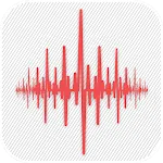 Vibration Meter icon