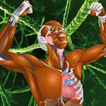 Memorix Anatomy QUIZ icon