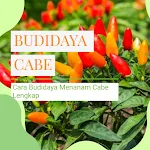 Cara Budidaya Menanam Cabe icon