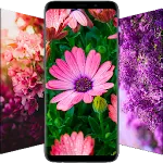 Flower Wallpapers - Flowrify icon