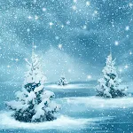 Winter Wallpapers icon