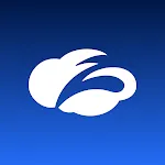 Zscaler Executive Insights icon