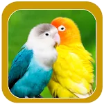 Beautiful Birds Wallpapers icon