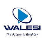 Walesi icon