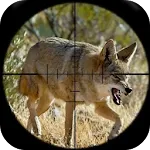 Coyote Hunting Calls icon