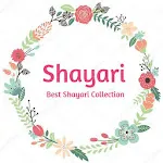 2024 Hindi Shayari - शायरी icon