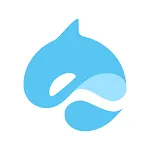 Surf Wallet icon