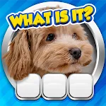 Guess it! Zoom Pic Trivia Game icon