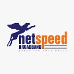 NetSpeed icon