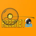 Reza Shahamiri icon