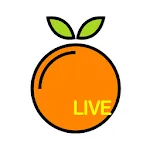 Live O Video Chat icon