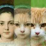 Zooface - GIF Animal Morph icon