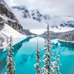 Snow Wallpapers icon