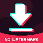 TT Video Downloader icon