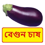 বেগুন চাষ ~Brinjal Cultivation icon