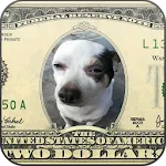 Funny Photo Collage icon