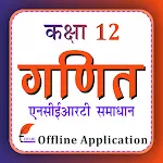 Class 12 Maths in Hindi Medium icon