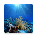 Oceanography icon