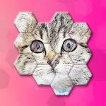 Cats Jigsaw! - Hexa Puzzle icon