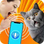 Human to Cat Translator icon