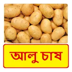 আলু চাষ ~ Potato Cultivation icon
