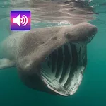 Scary: Sounds & Ringtones icon