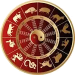 Tu Vi Pro icon