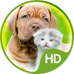 Wallpapers cute animals icon