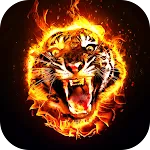 Fire Wallpaper 2024 icon